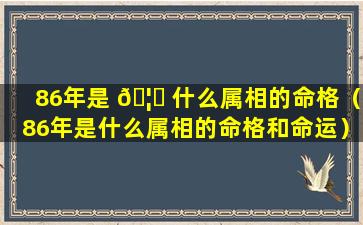 86年是 🦋 什么属相的命格（86年是什么属相的命格和命运）